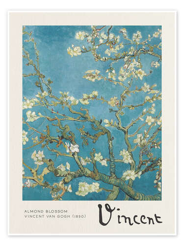 Almond Blossom