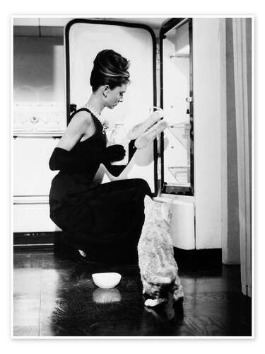 Breakfast at Tiffany's, Audrey and the Fridge