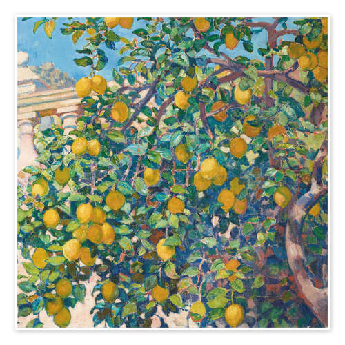 Lemon Trees in La Mortola, 1921 Lemon Trees in La Mortola, 1921