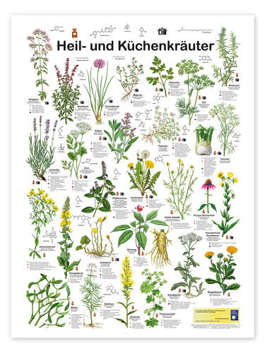 Medicinal and culinary herbs (German) Medicinal and culinary herbs (German)