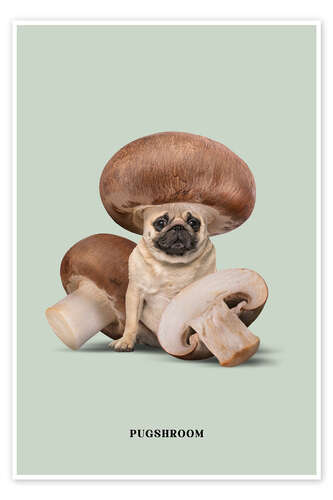 Pugshroom Pugshroom